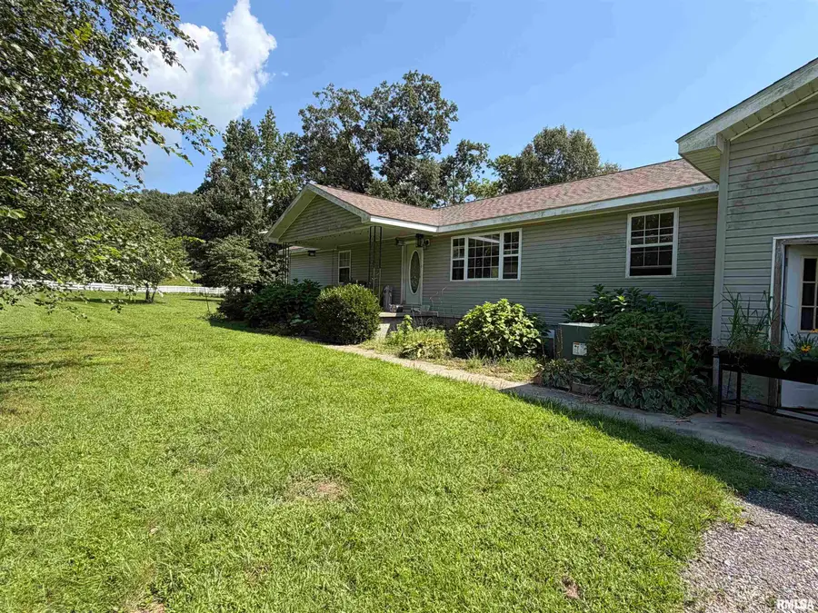 27598 Tamms Olive Branch Road, Tamms, IL 62988-0000 - #2