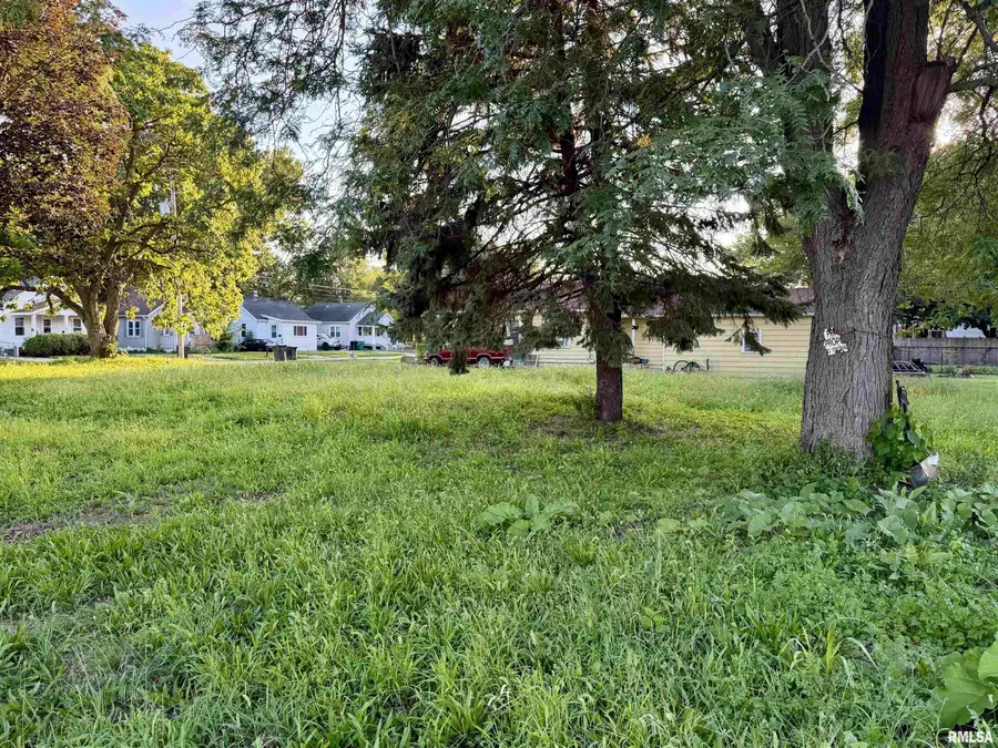 202 Chicago Street, East Peoria, IL 61611 - #2