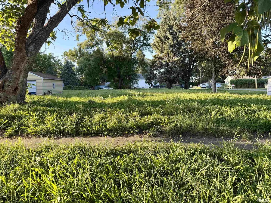 202 Chicago Street, East Peoria, IL 61611 - #3