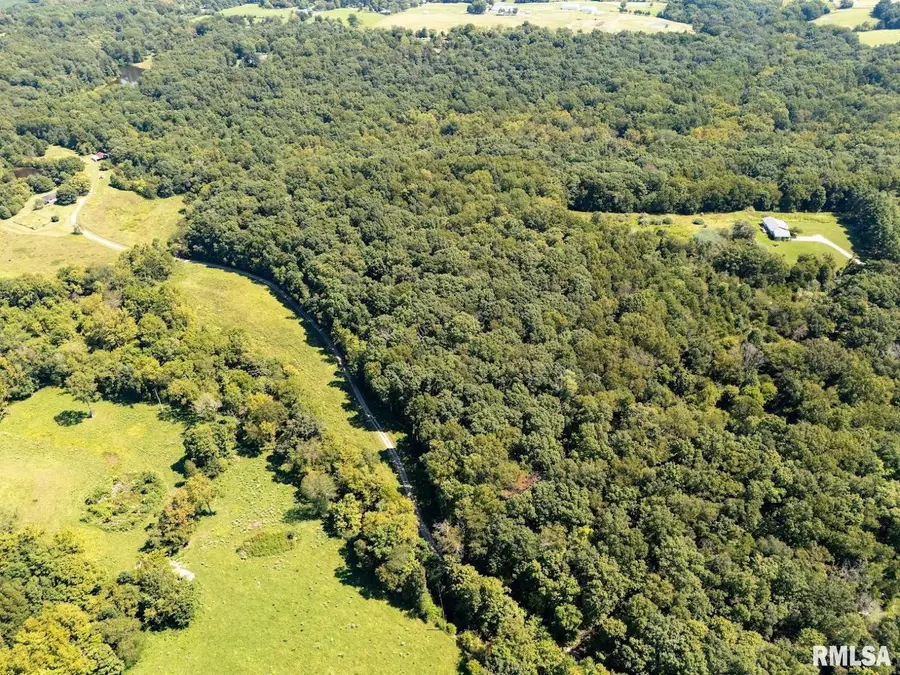TBD Friendship Loop Road, Goreville, IL 62939 - #2