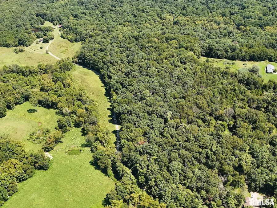 TBD Friendship Loop Road, Goreville, IL 62939 - #3