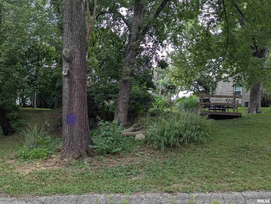 5802 S Madison Street, Bartonville, IL 61607 - #3