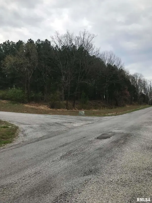 Lot 287 Parrish Ridge Lane, Goreville, IL 62939