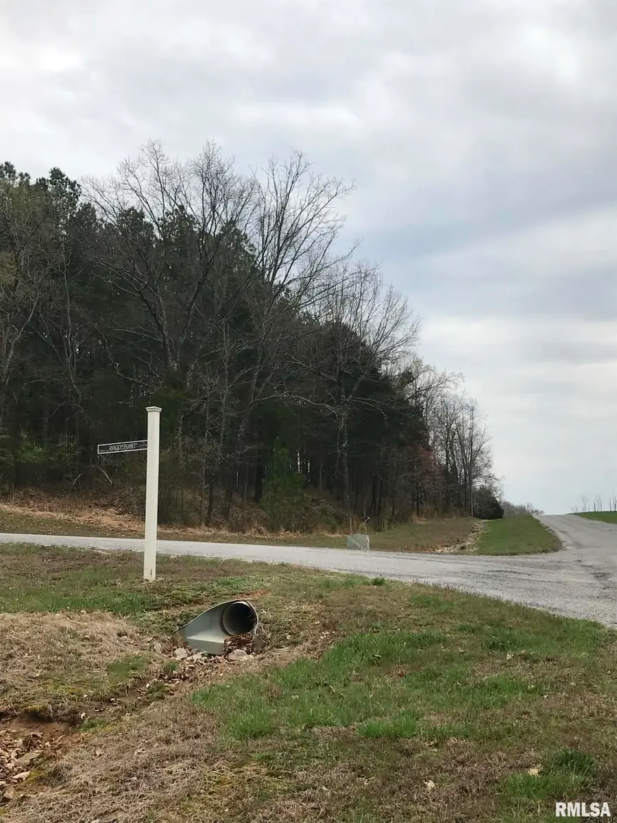 Lot 287 Parrish Ridge Lane, Goreville, IL 62939 - #2