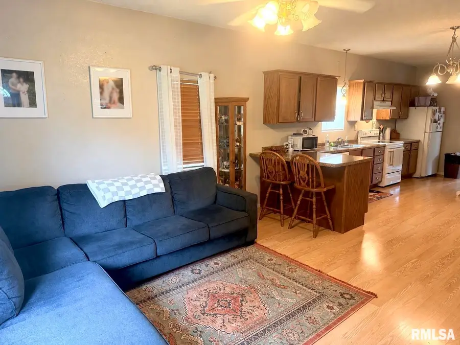 914 Chestnut Avenue, Johnston City, IL 62951 - #3