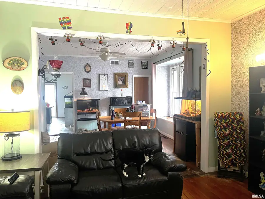 405 W Perrine Street, Johnston City, IL 62951 - #2