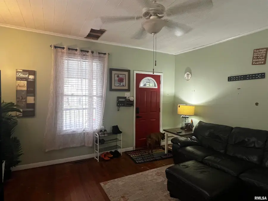 405 W Perrine Street, Johnston City, IL 62951 - #3