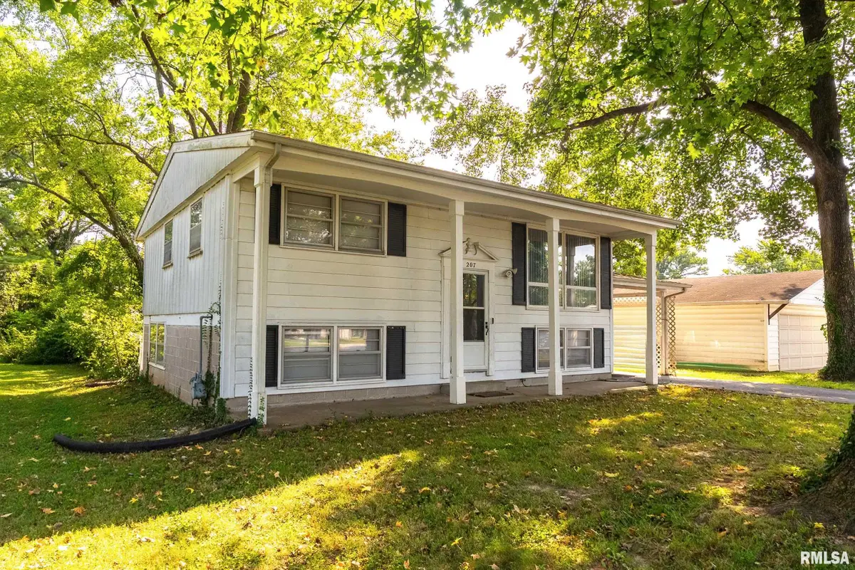 207 N Ash Street, De Soto, IL 62924 - #1