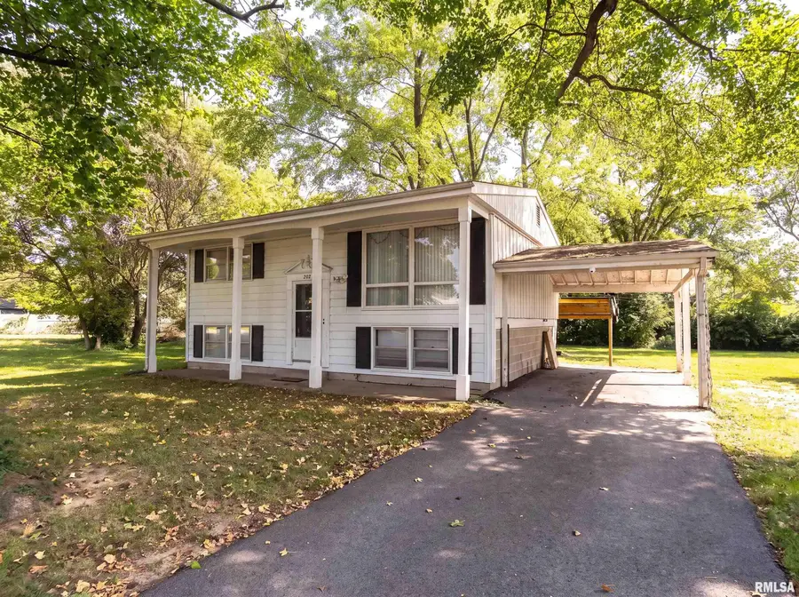 207 N Ash Street, De Soto, IL 62924 - #2