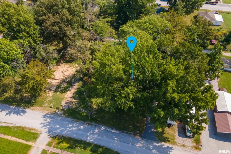 207 N Ash Street, De Soto, IL 62924 - #3