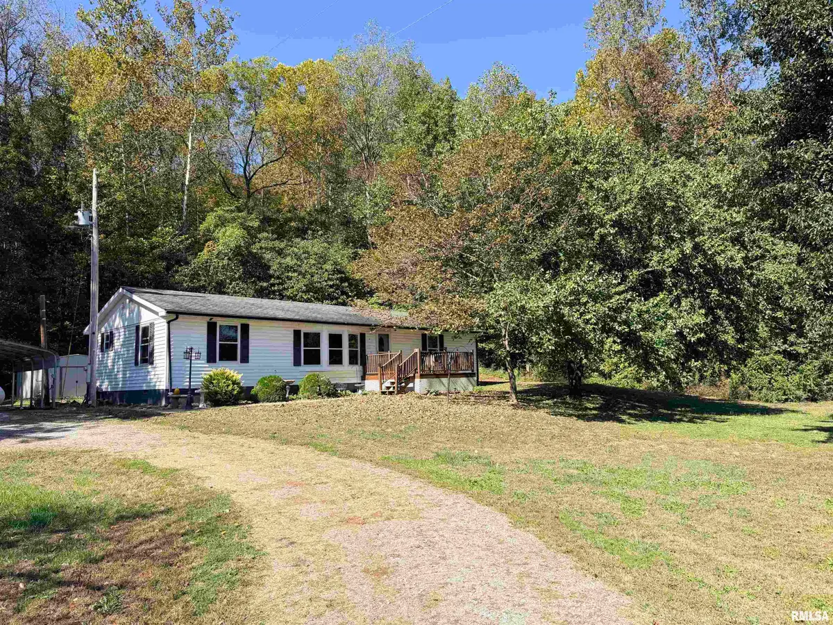 35 Dug Hill Road, Jonesboro, IL 62952 - #1