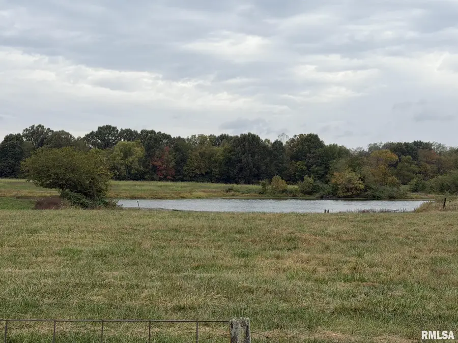 176 Barefoot Road, De Soto, IL 62924 - #2
