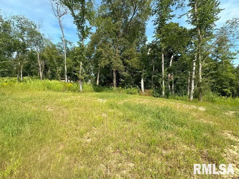 Lot 2 225th Street, De Witt, IA 52742 - Image #1