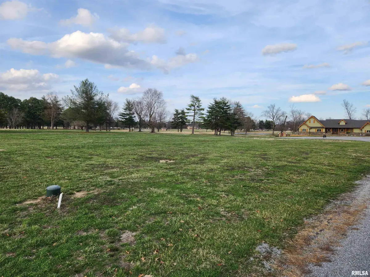 Lot 19 Corbin Drive, Energy, IL 62933 - #1