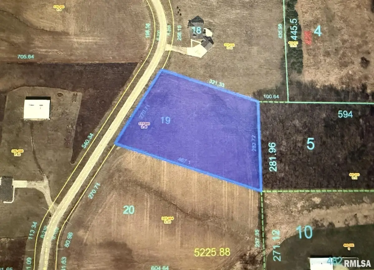 2103 Olof Krans Avenue, Galva, IL 61434 - Image #1