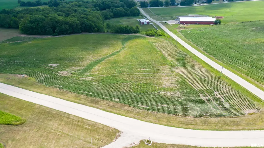 2001 Olof Krans Avenue, Galva, IL 61434 - Image #2