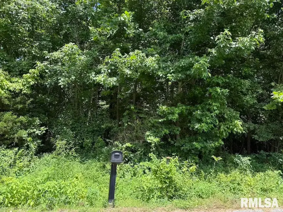 3126 Vermont Road, Carterville, IL 62918 - Image #2