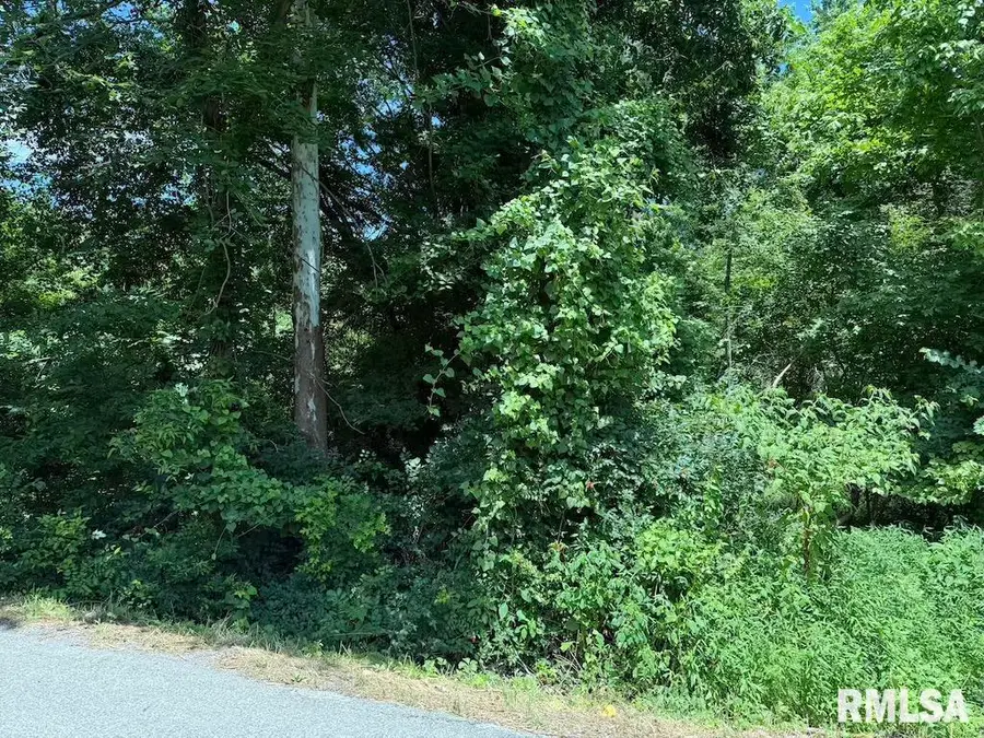 3126 Vermont Road, Carterville, IL 62918 - Image #3