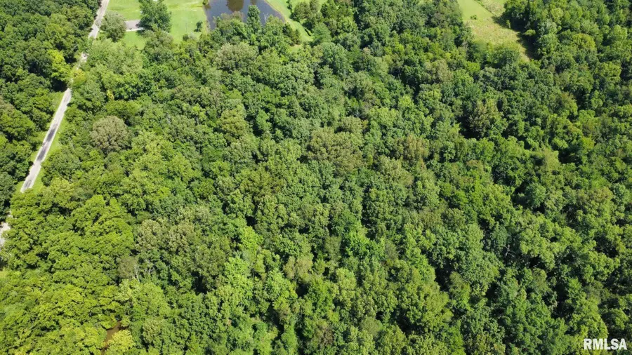 000 Cedar Hill Road, West Frankfort, IL 62896 - #3