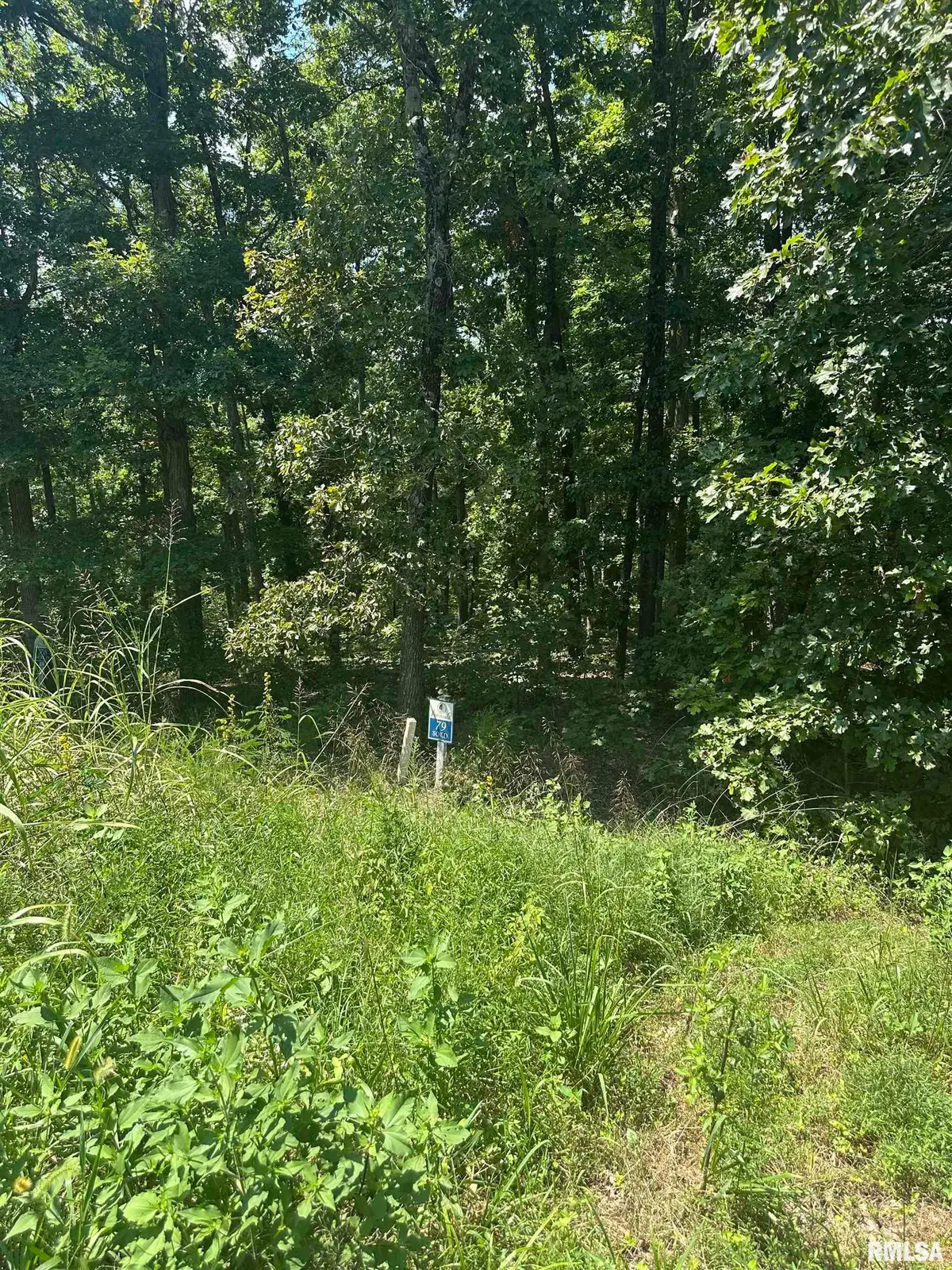 00 Hawthorne Point, Goreville, IL 62939 - Image #1