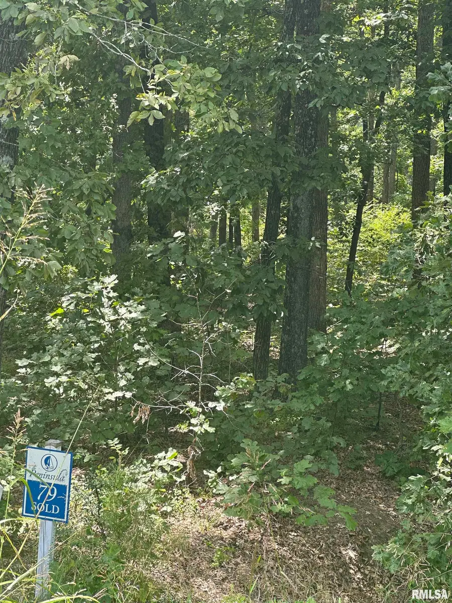 00 Hawthorne Point, Goreville, IL 62939 - Image #3