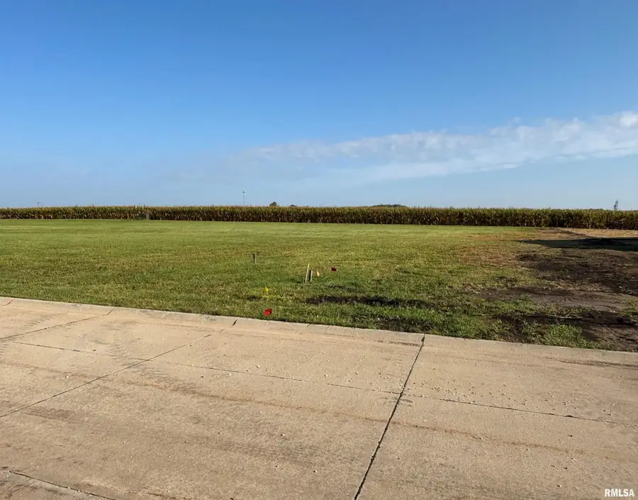 113 W School View Road, Geneseo, IL 61254-2602 - Image #2