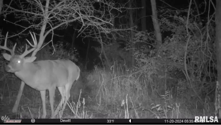 302 Silver Creek Road, De Witt, IA 52742 - Image #3