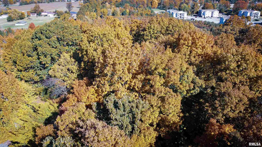 TBD B Conestoga Trail, Carterville, IL 62918 - Image #2