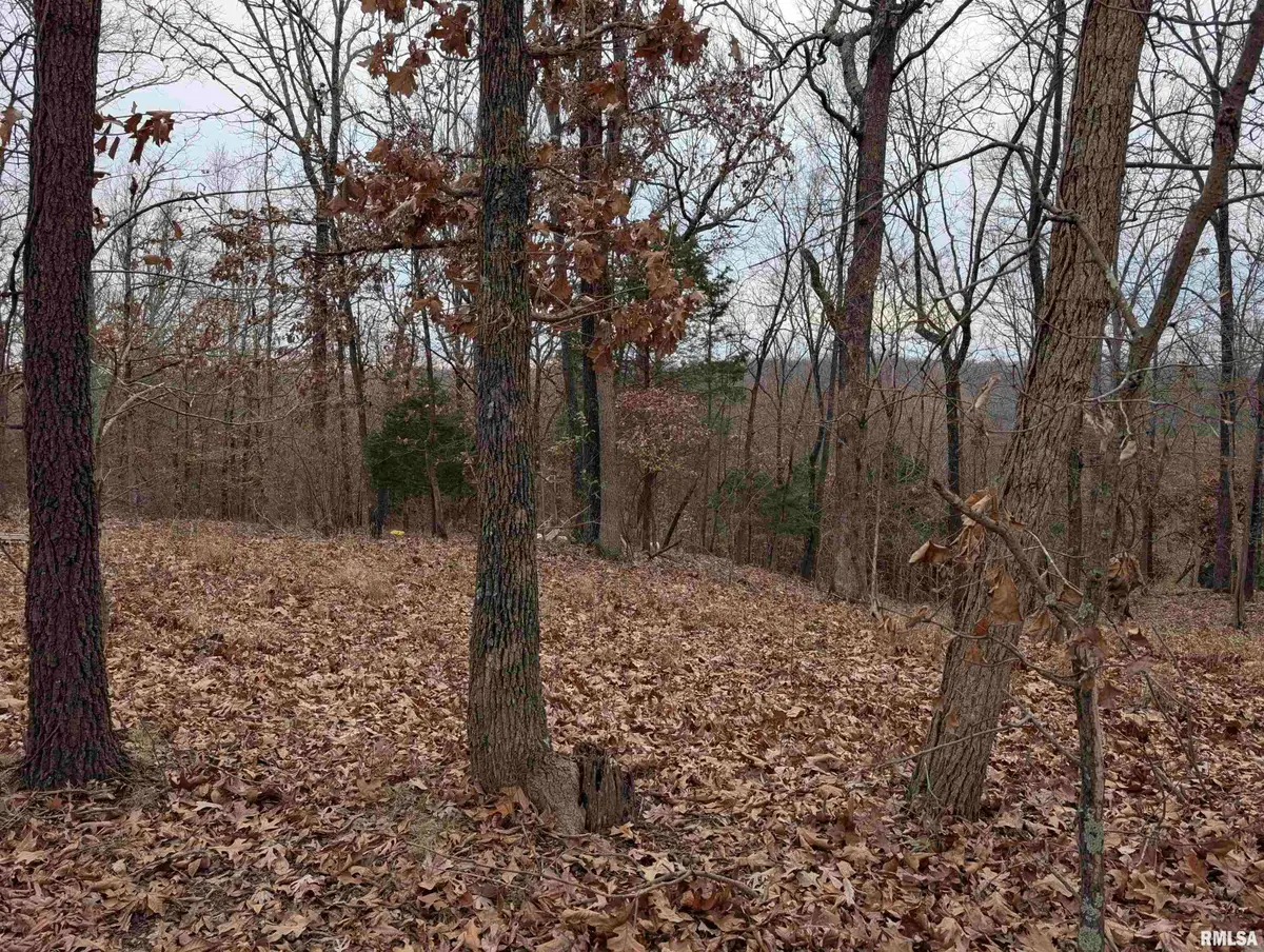 2643 Dogwood Road, Carbondale, IL 62902 - Image #1