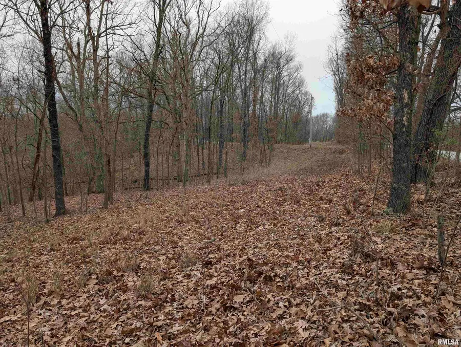 2643 Dogwood Road, Carbondale, IL 62902 - Image #2