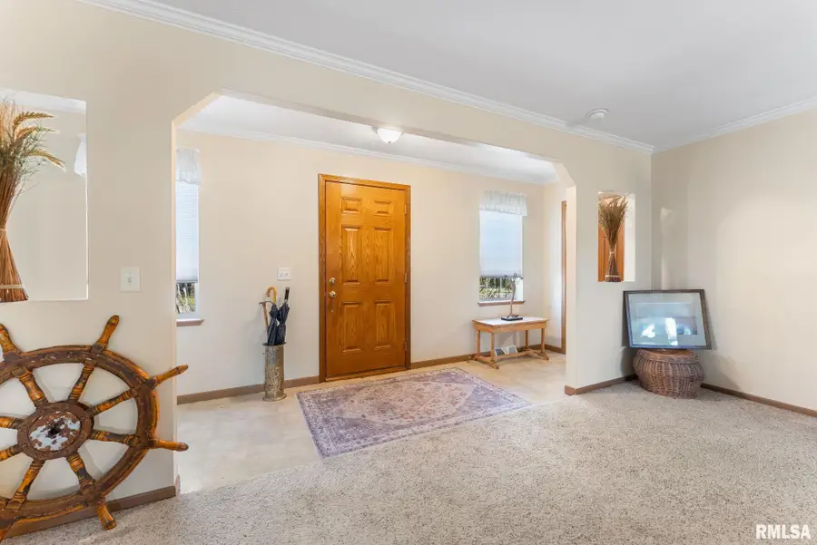 225 Carroll Street, Colona, IL 61241 - Image #2