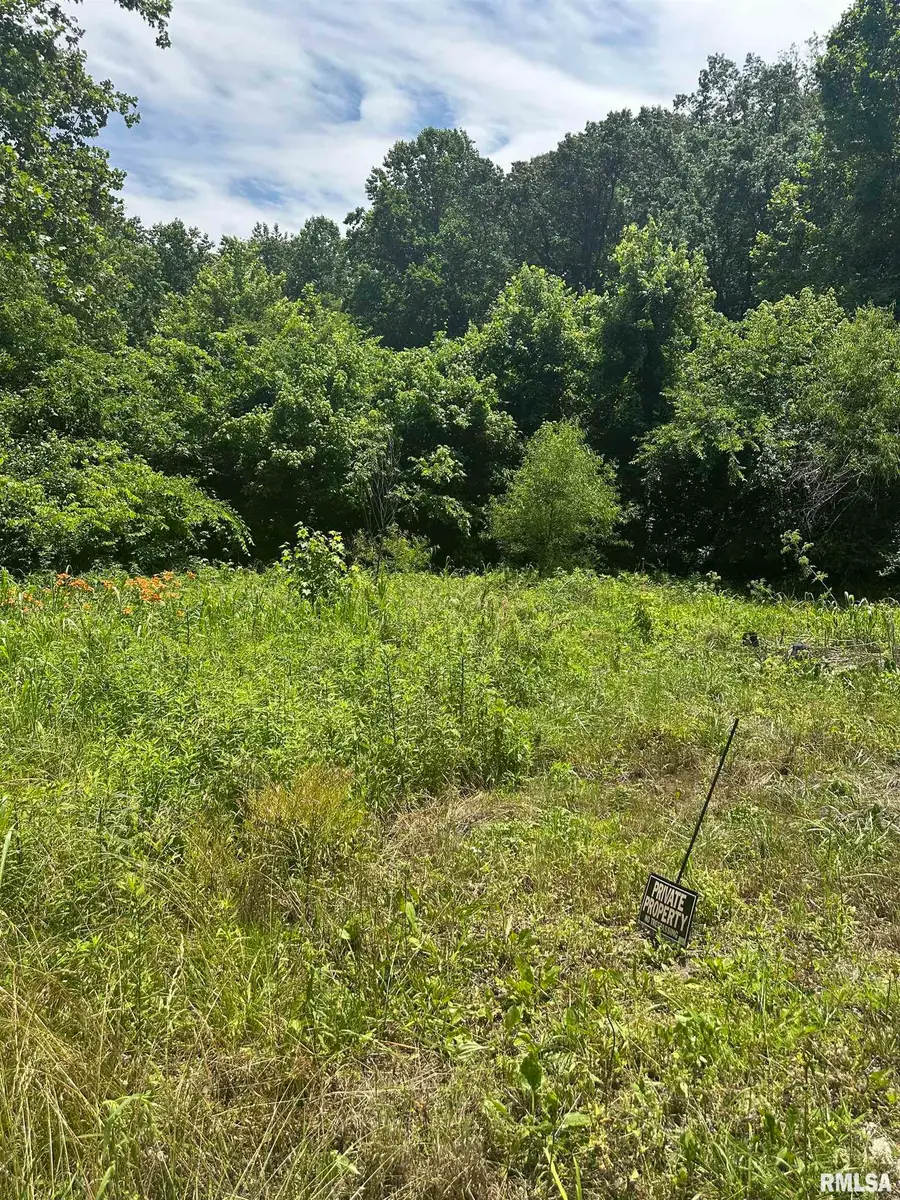 585 Berryville Road, Jonesboro, IL 62952 - Image #3