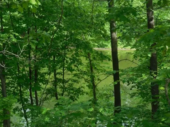 1309 Cliffview Drive, Effingham, IL 62401