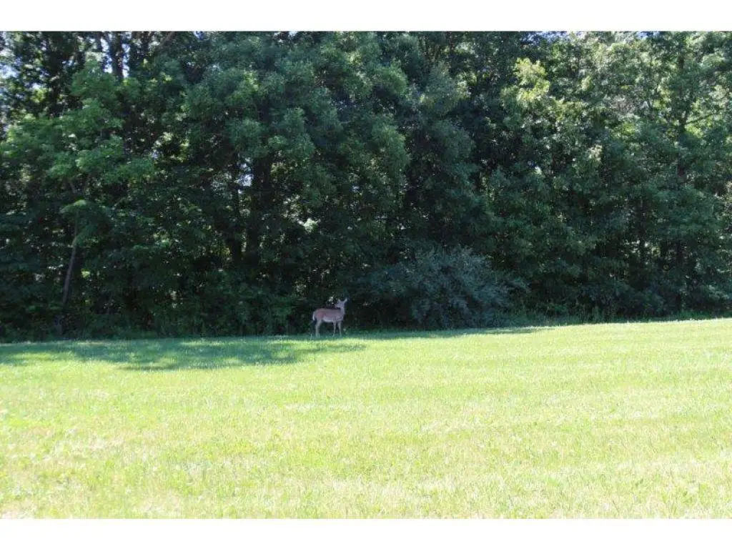 Lot #19 Reserves Court, Charleston, IL 61920 - Image #1