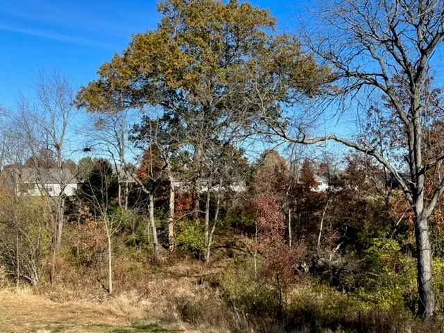 Blohm Avenue, Effingham, IL 62401 - Image #2