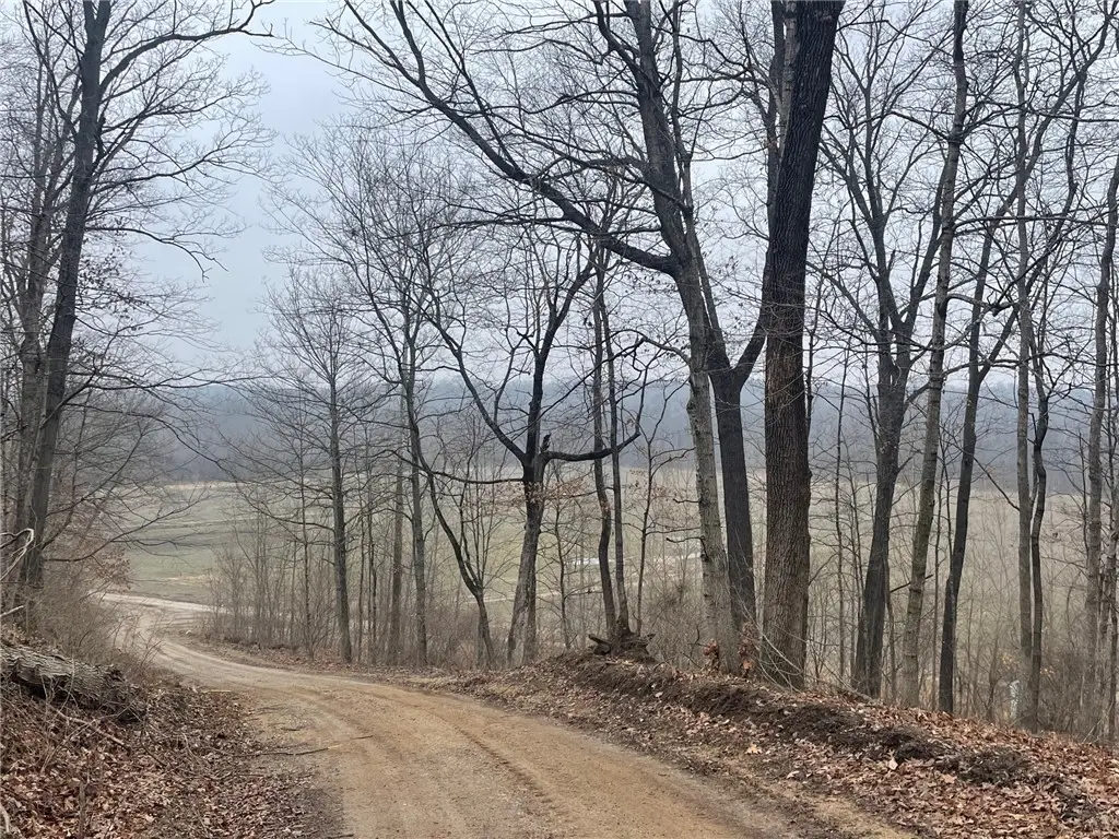 Rr Sec 29, Brownstown, IL 62418 - Image #1