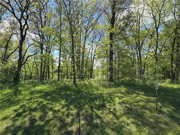 176 Beyers Lake Estate, Pana, IL 62557