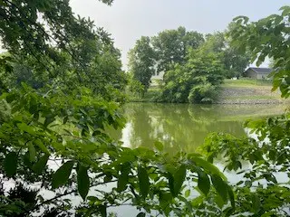 177 Beyers Lake Estate, Pana, IL 62557