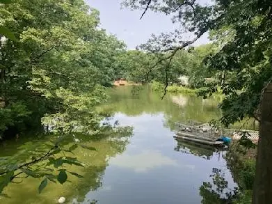 13859 Lake Jasper South Avenue, Newton, IL 62448 - Image #2