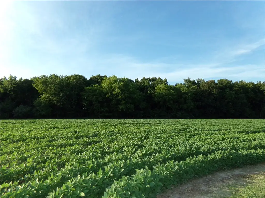 #11 Deer Lake Estates, Findlay, IL 62534 - Image #1