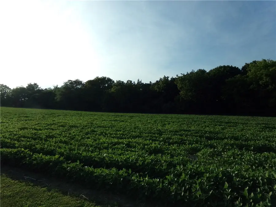 10 Deer Lake Estate, Findlay, IL 62534 - Image #3