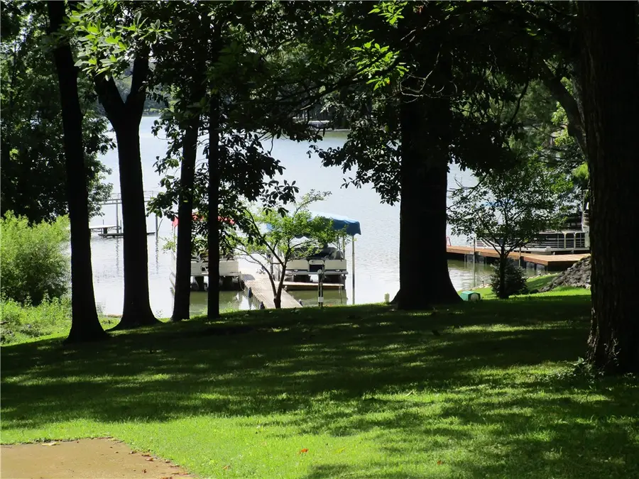 46 Catfish Trail, Pana, IL 62557 - Image #3