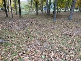 66 Beyers Lake Estate, Pana, IL 62557 - Image #1