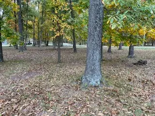 66 Beyers Lake Estate, Pana, IL 62557 - Image #2