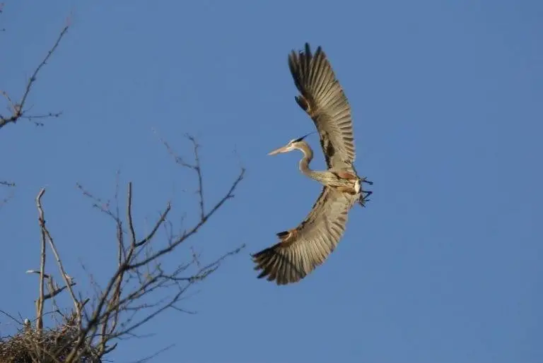 10A Kimm Lane, Mount Zion, IL 62549 - #3