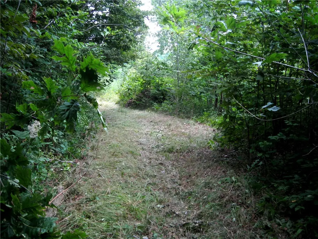 Peaceful Court, Potomac, IL 61865 - Image #1