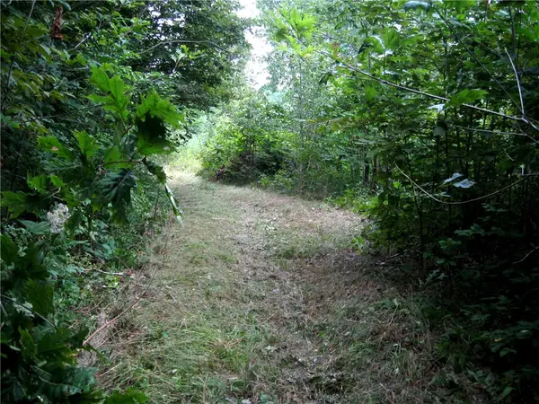 Peaceful Court, Potomac, IL 61865