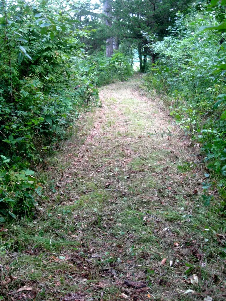 Peaceful Court, Potomac, IL 61865 - Image #2