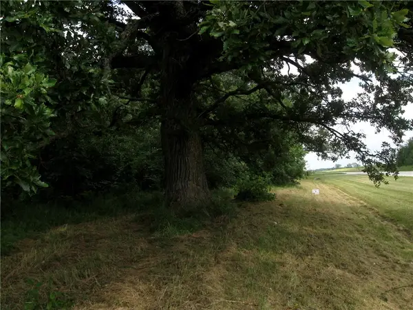 Peaceful Court, Potomac, IL 61865