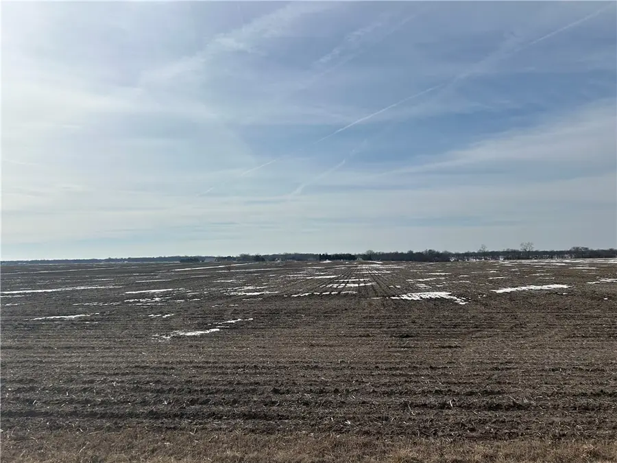 Ridgley Road Tract 2, Dalton City, IL 61925 - #3